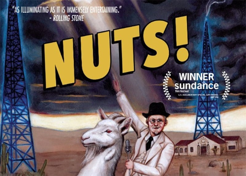 Nuts! review