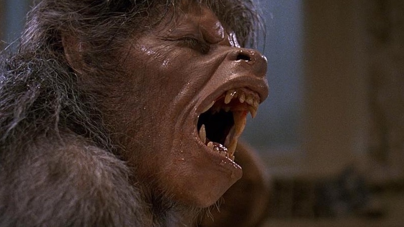 12 best werewolf movies of all time