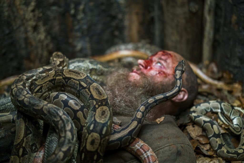 Ragnar covered in snakes on Vikings