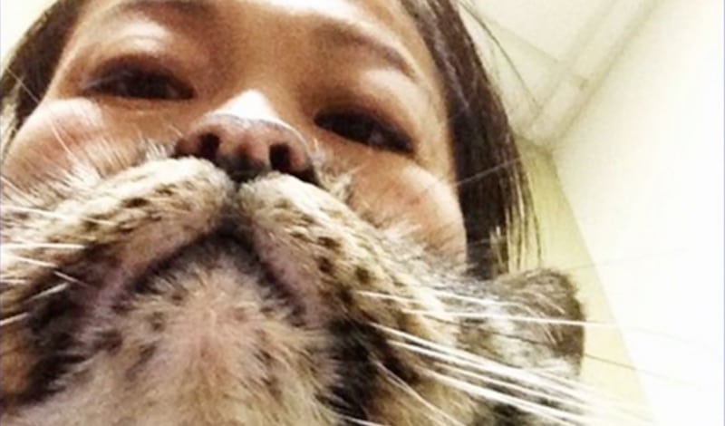 Suzy Nakamura in a cat-bearding picture which she posted to her Instagram