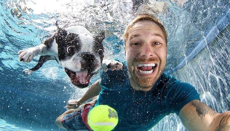 Finding Fido host Seth Casteel with an under-water dog in one of his trademark images