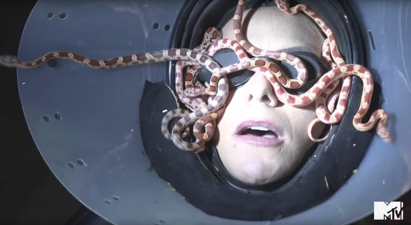 A contestant with snakes on her face on MTV's Fear Factor