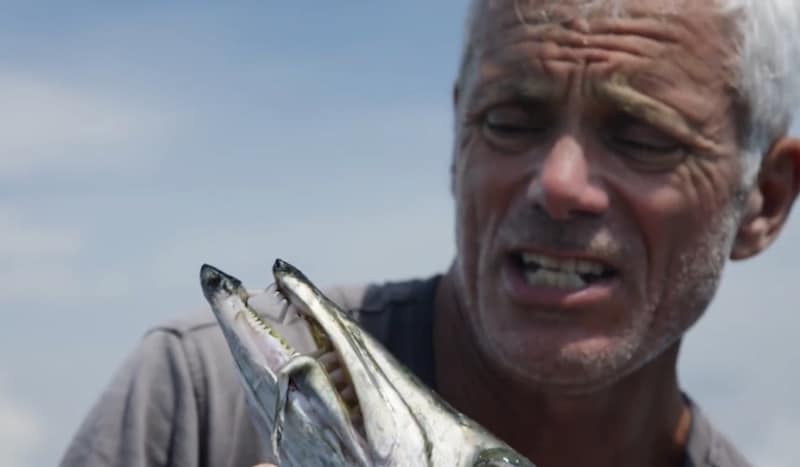 Jeremy Wade looks at a barracuda on River Monsters