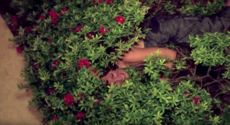 Luann smiling as she lies in a bush on The Real Housewives of New York City