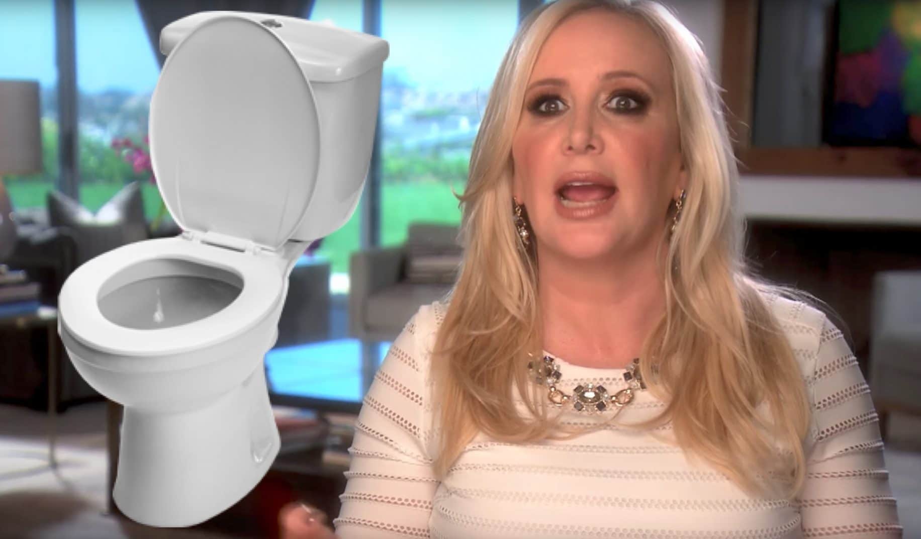 Shannon Beador on RHOC and a toilet