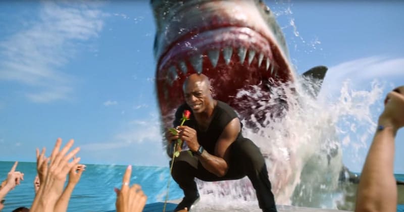 Seal being eaten by a shark in a Shark Week promo