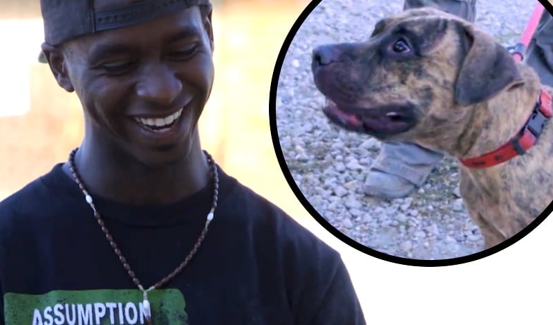 Darius grinning and an inset of the pit bull he helps train