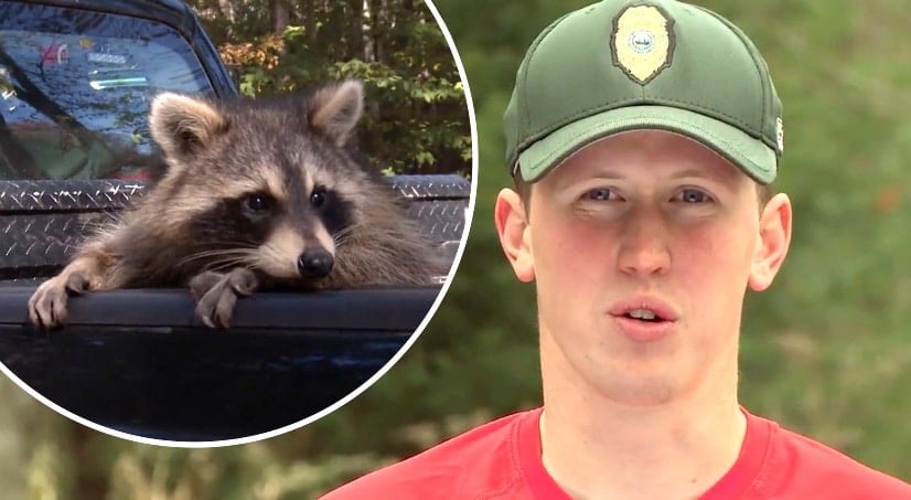 Stills from the new season of North Woods Law on Animal Planet
