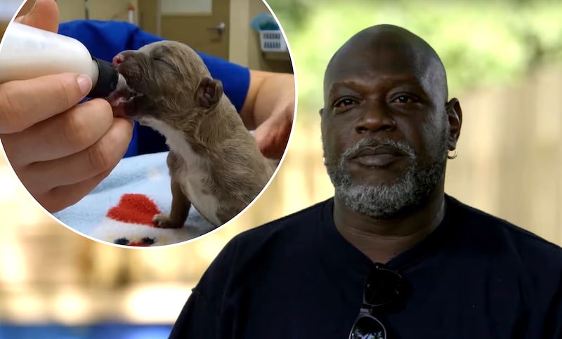 Earl and puppy on Pit Bulls & Parolees