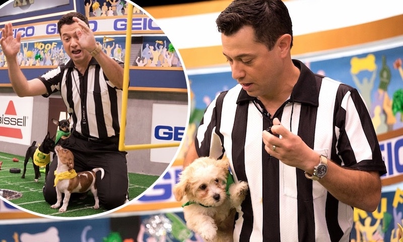 Puppy Bowl XIV referee Dan Schachner