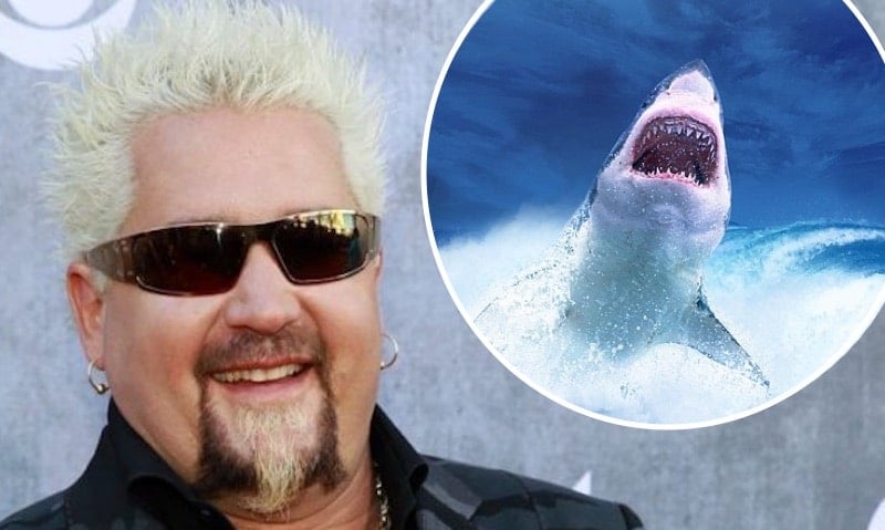 Guy Fieri, who is joining Shark Week, and a shark