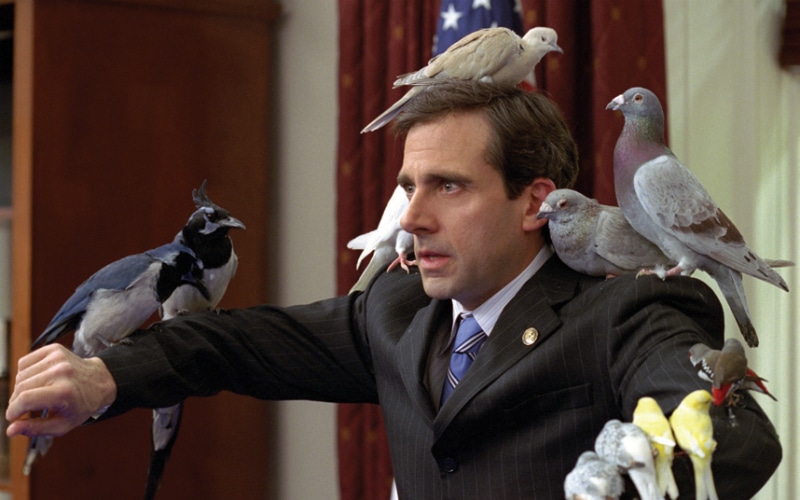 Steve Carell covered in birds as Evan Almighty