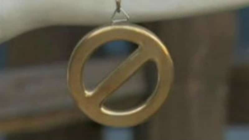 The Power of Veto necklace