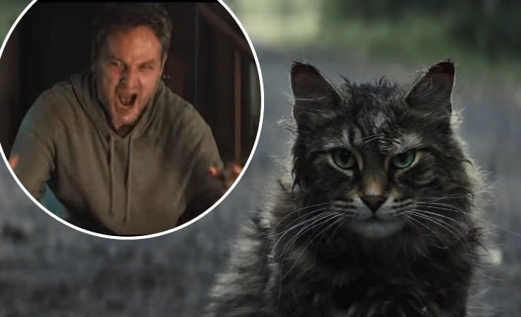 Scenes from the Pet Sematary trailer ahead of the release date