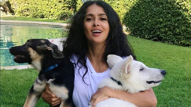 Salma hayek with two dogs