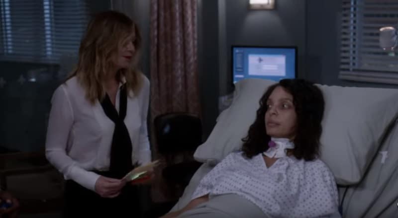 Patient Natasha Deon and Dr. Meredith Grey on Grey's Anatomy cast