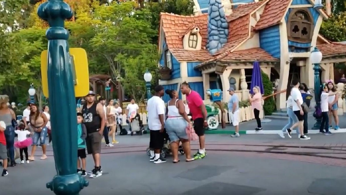 Family brawls at Disneyland