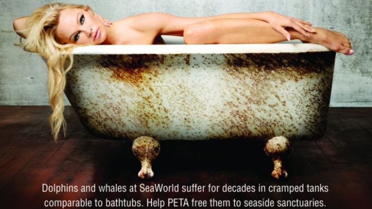 Pamela in a press image handout from PETA showing a visual metaphor of what life is like for Corky. Pic credit: PETA