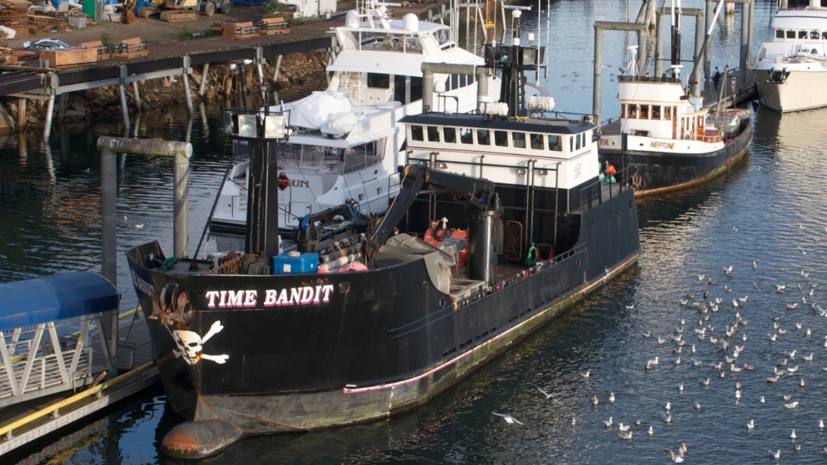 Time Bandit close up and docked. Pic credit: Jay Galvin from Pleasanton, CA, USA - "Time Bandit" from Deadliest Catch, CC BY 2.0, https://commons.wikimedia.org/w/index.php?curid=79536832