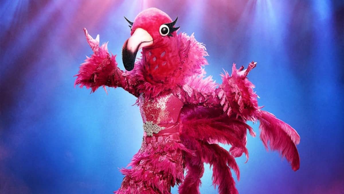 The Masked Singer: Who is the Flamingo based on the NAACP award?