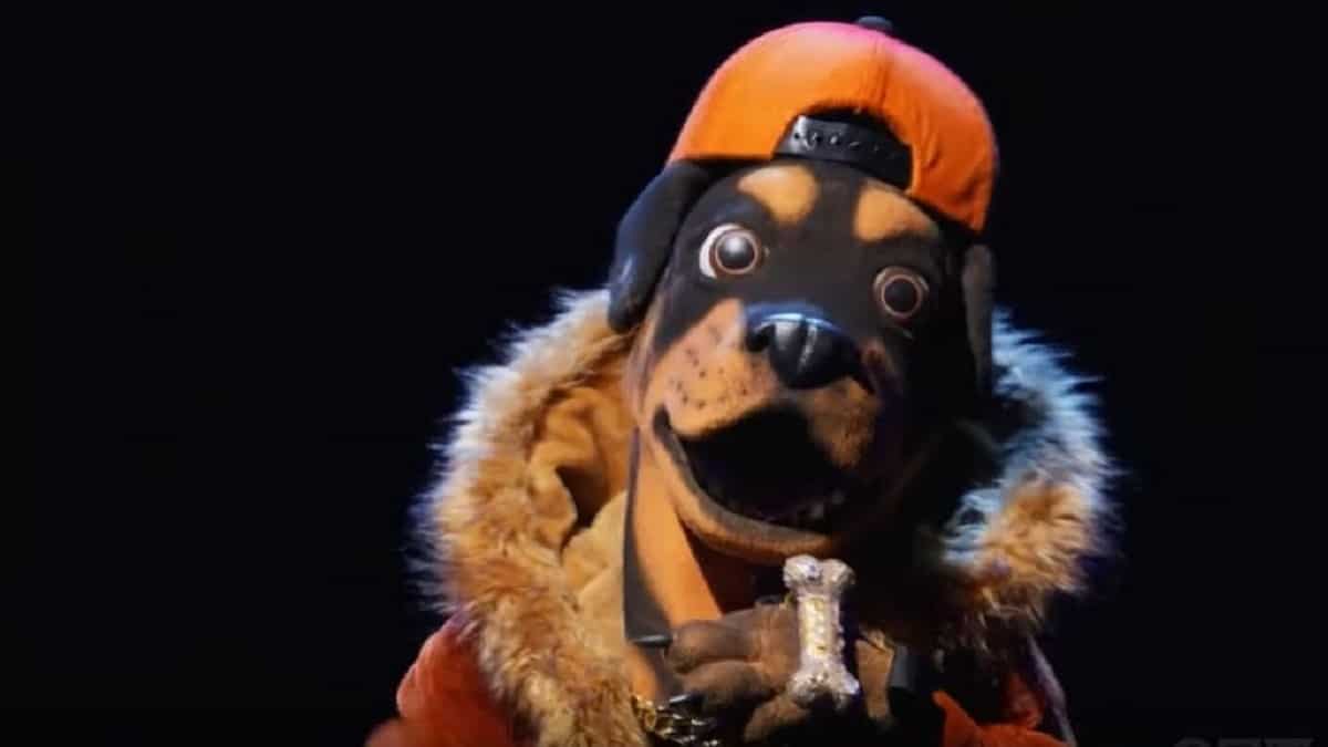 Rottweiler performs on The Masked Singer