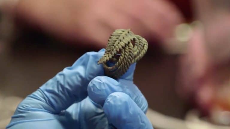 The leaf and coil brooch found on The Curse of Oak Island