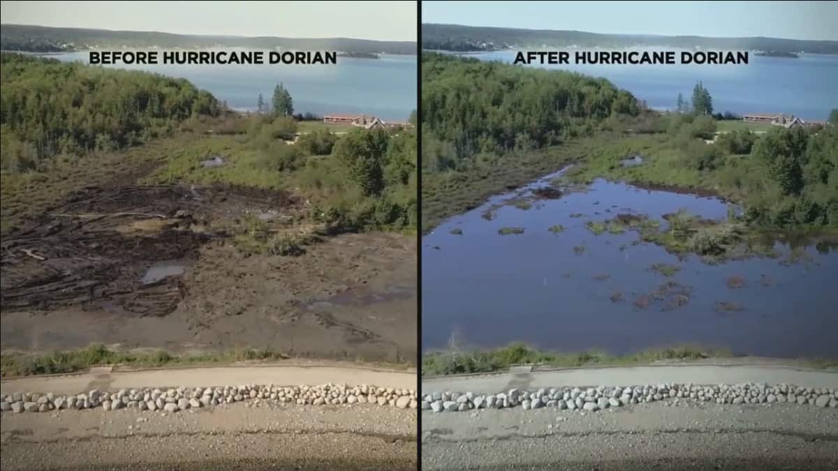 Before and after photo of the affects of storm on the swamp