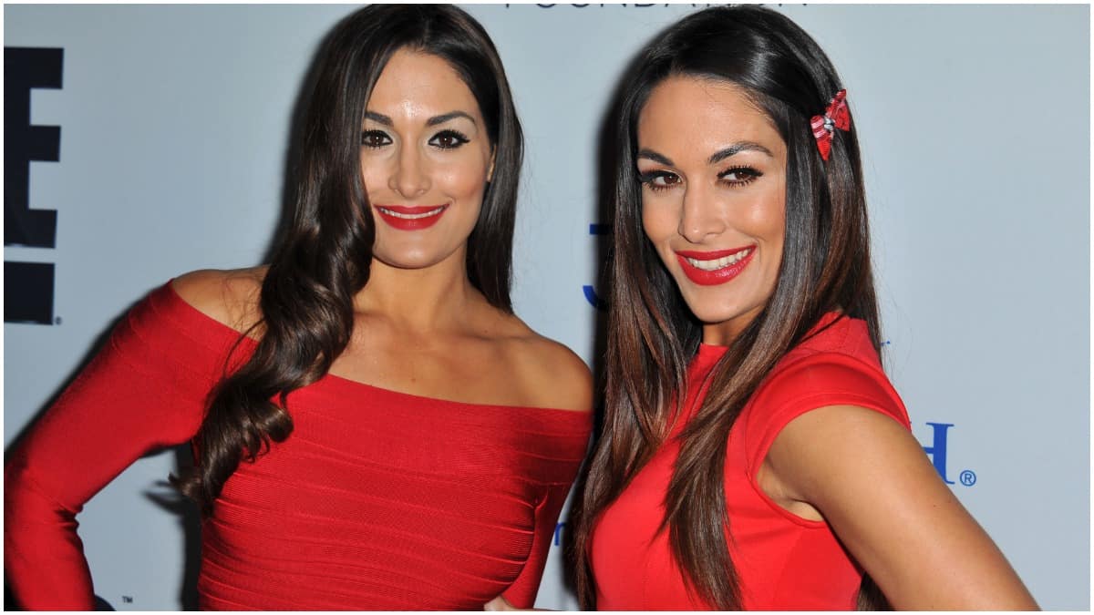 When are the Bella Twins' estimated due dates?