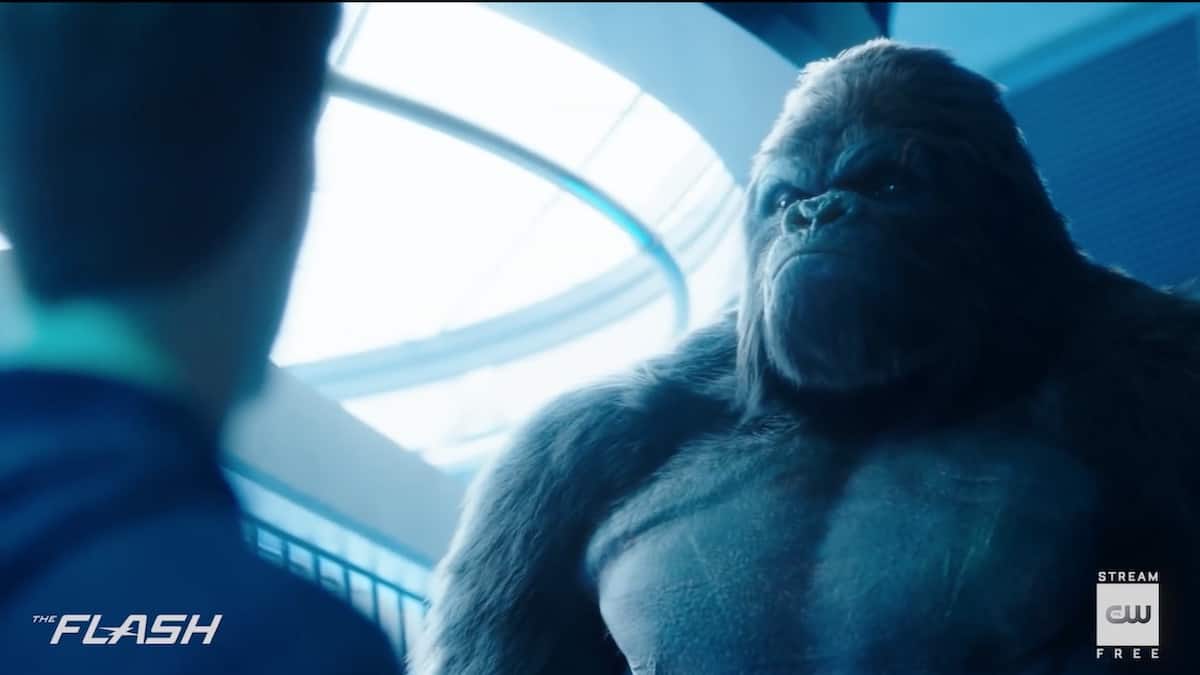 Gorilla Grodd (David Sobolov) confronts Barry (Grant Gustin) on The Flash. Pic credit: The CW