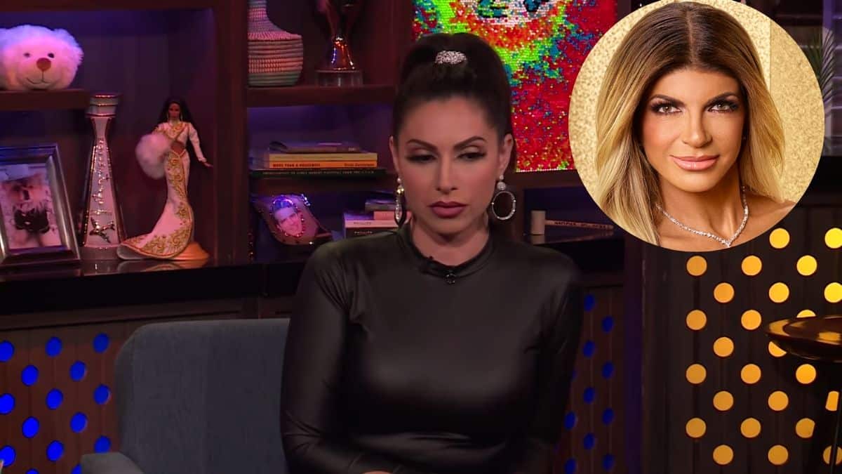 Jennifer Aydin defends Teresa Guidice in her involvement in the hair pulling incident