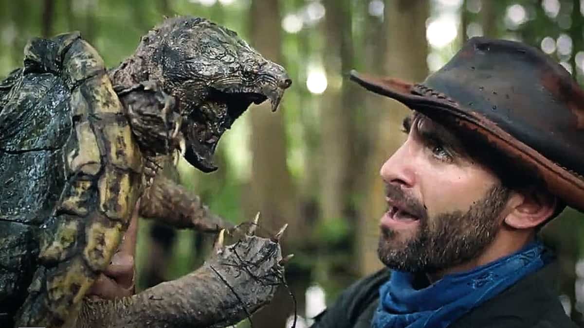 Coyote comes face to face with a smaller alligator snapping turtle that could do real damage to a human. Pic credit: Animal Planet.