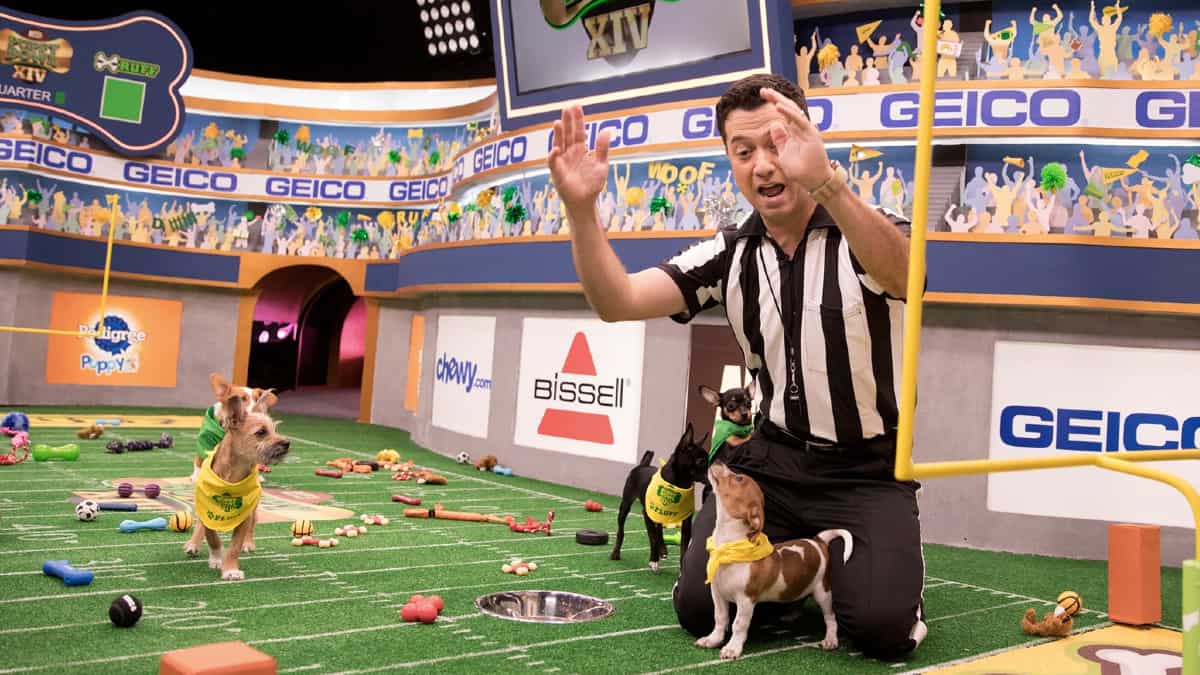 Dan Schachner is our MVP and his work with Animal Planet's Puppy Bowl continues on. Pic credit: Animal Planet/Damian Strohmeyer