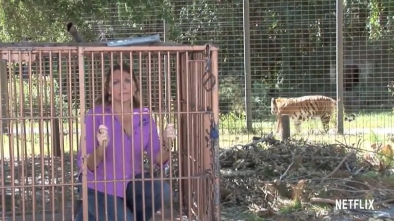 Activist Carole Baskin crouches in a cage in Netflix's Tiger King