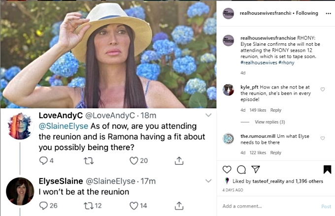 Elyse won't be at the RHONY reunion