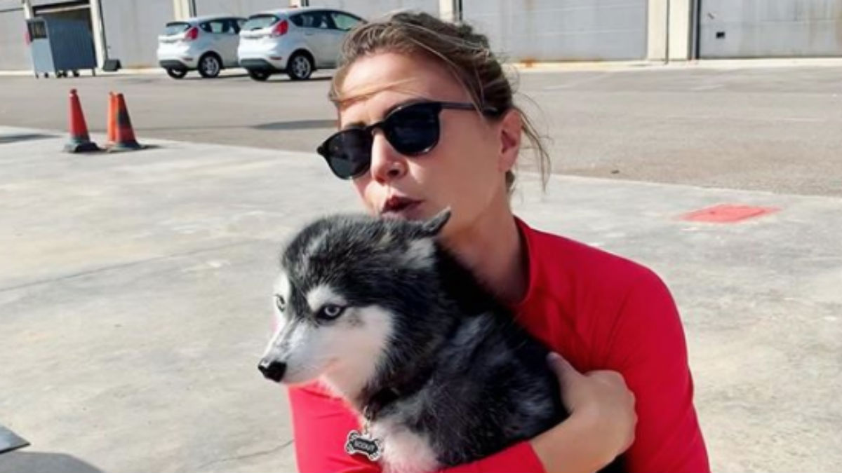 Malia White and more Below Deck Mediterranean cast members love Justin Thornton's dog Scout.