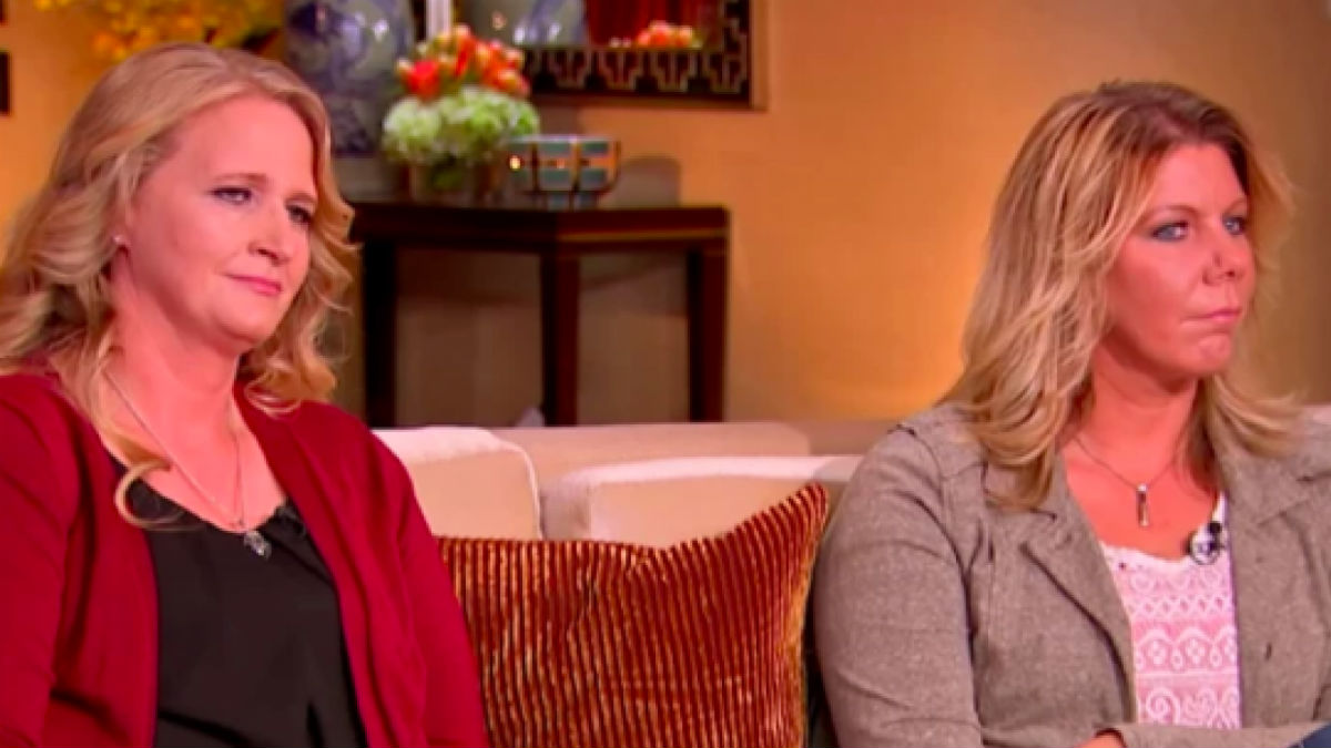 Sister Wives stars Meri and Christine Brown may soon be out of jobs.