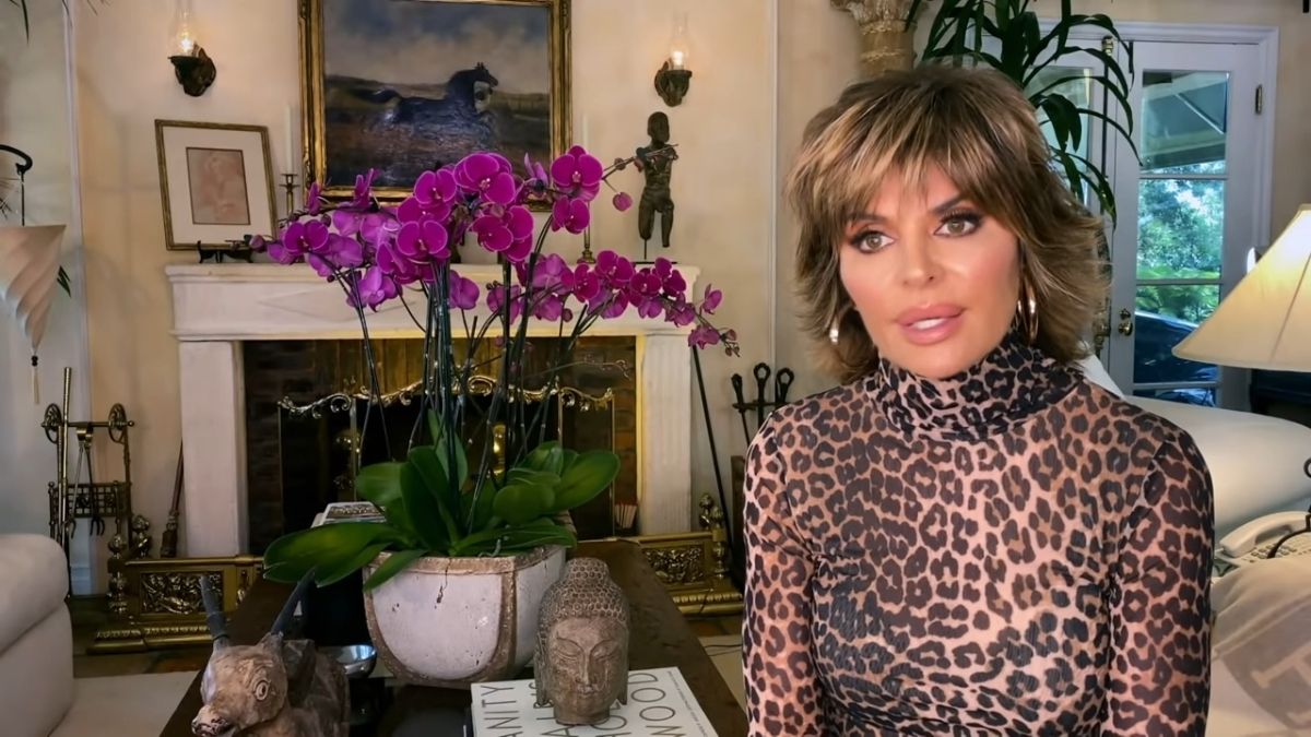 Lisa Rinna shares her views on Denise's claims