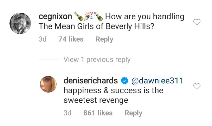 Denise Richards' revenge comment. 