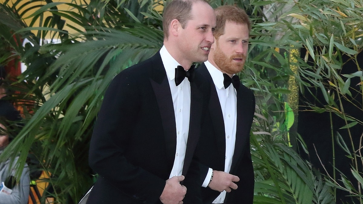Prince William and Prince Harry