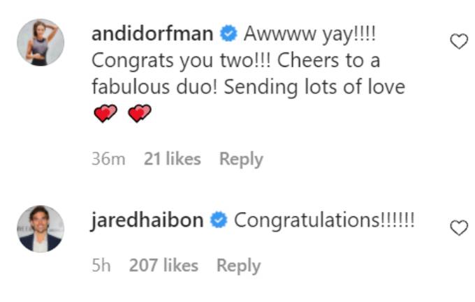 Comments on Chris Harrison's Instagram post.