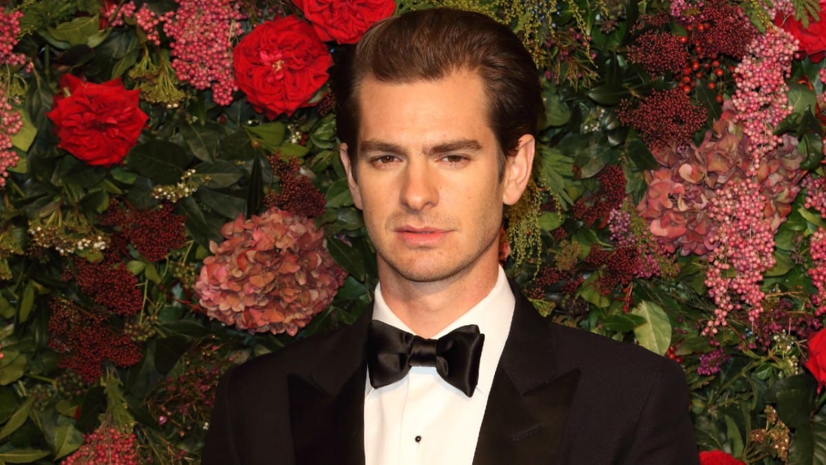 Andrew Garfield on the red carpet