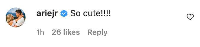 former bachelor arie comment