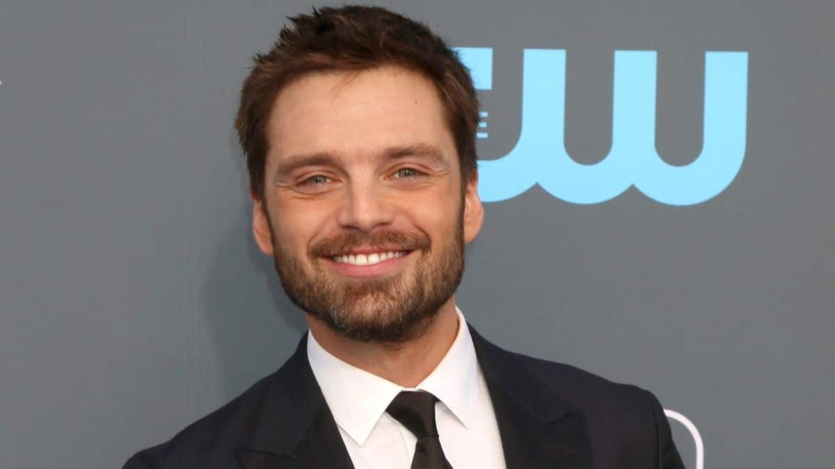 red carpet image of sebastian stan