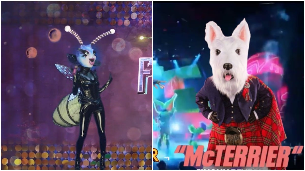 The Masked Singer Good costumes
