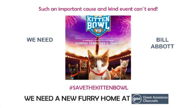A Kitten Bowl fan urges GAC Family to take over the event