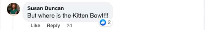 A fan asks Hallmark Channel about the Kitten Bowl