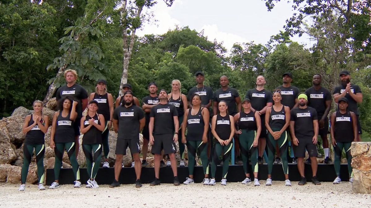 cast members assemble for the challenge all stars 2