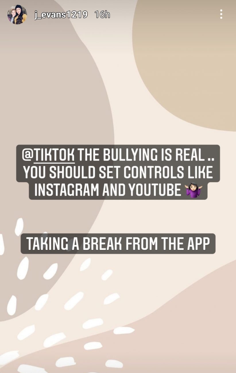 jenelle evans says she's quitting tiktok because of "bullying"