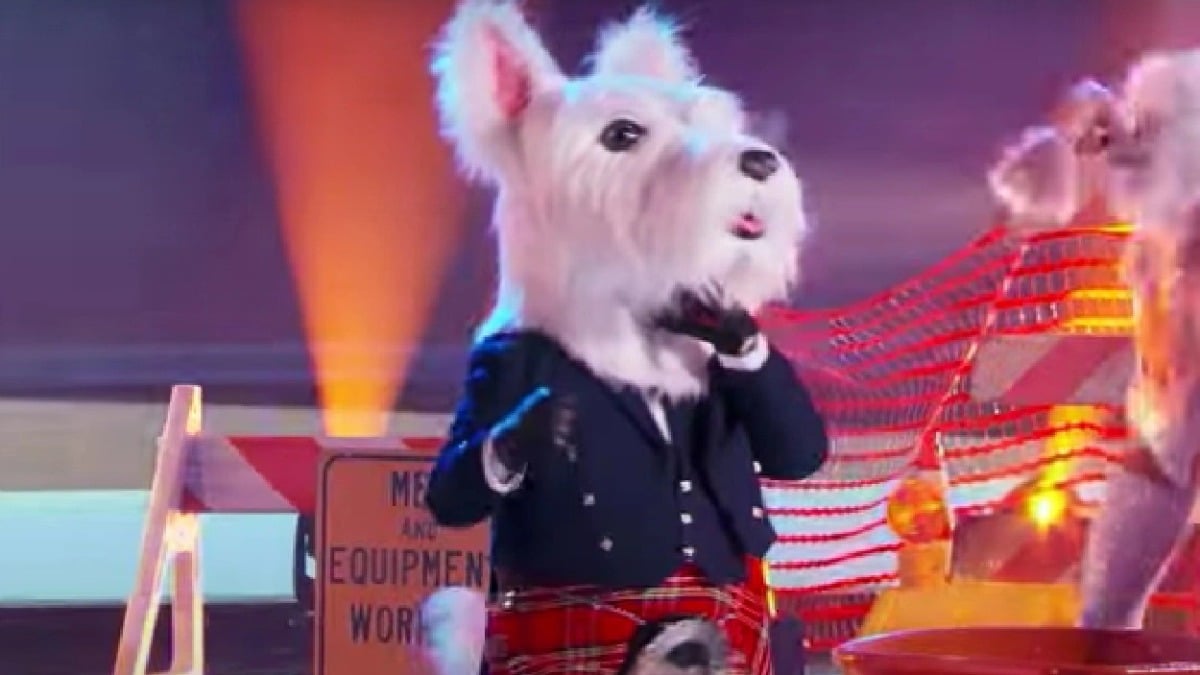 McTerrier on The Masked Singer