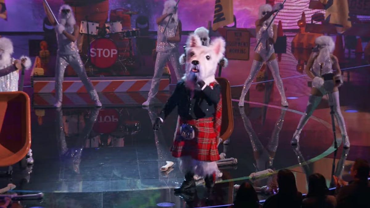McTerrier performing on The Masked Singer